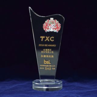 BSI Sustainability Leader Award